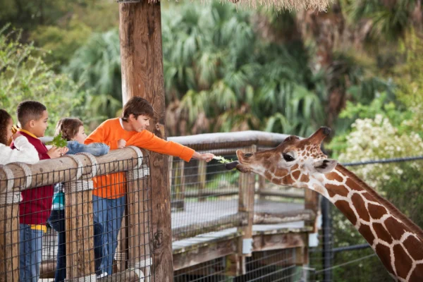 ¿Te gustaría ser cuidador de zoológico?